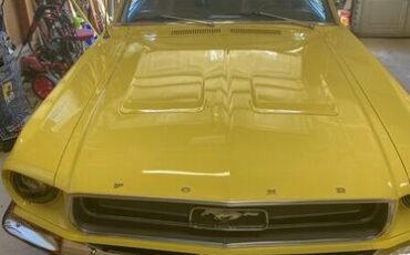 Unknown-Mustang-1967-Yellow-Black-6