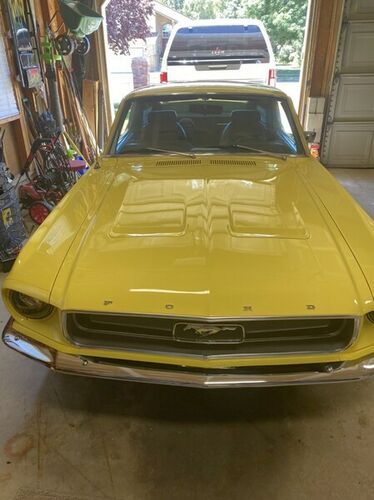 Unknown-Mustang-1967-Yellow-Black-6