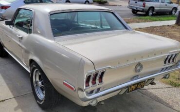 Unknown-Mustang-1968-11