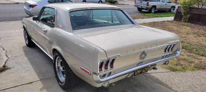 Unknown-Mustang-1968-11