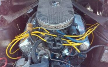 Unknown-Mustang-1968-12