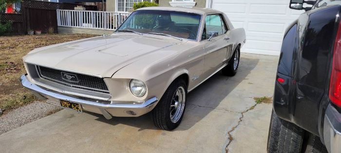 Unknown-Mustang-1968-5