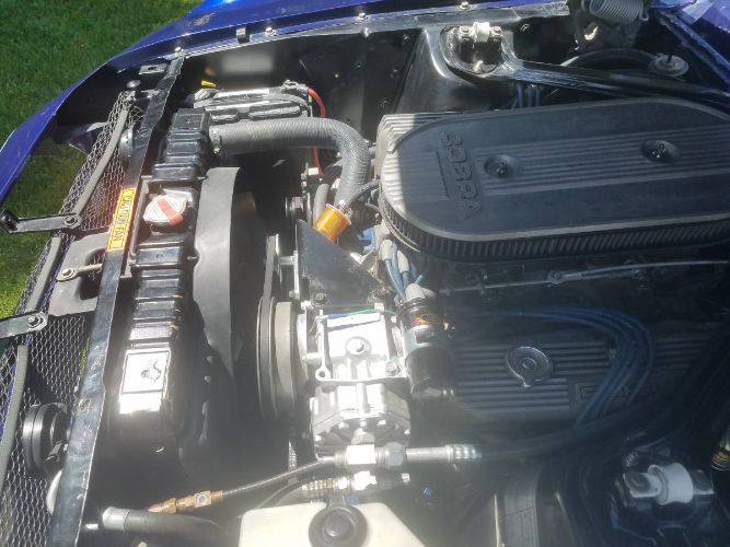 Unknown-Mustang-1968-Blue-10