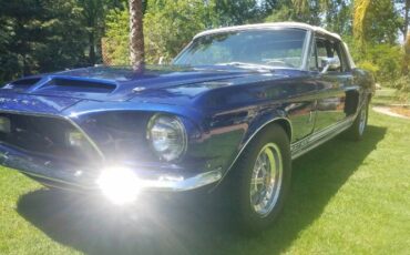 Unknown-Mustang-1968-Blue-12