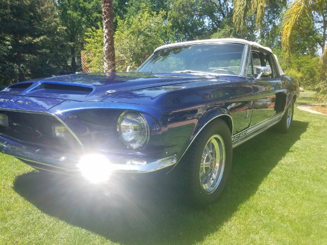 Unknown-Mustang-1968-Blue-12