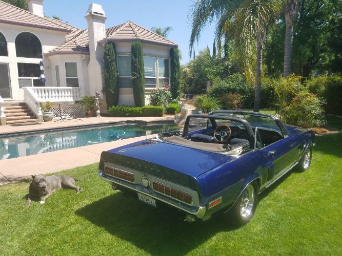 Unknown-Mustang-1968-Blue-13