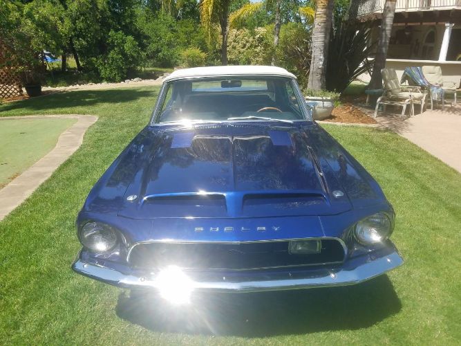 Unknown-Mustang-1968-Blue-14