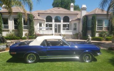 Unknown-Mustang-1968-Blue-20