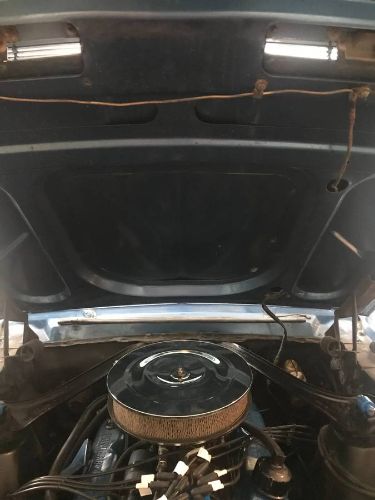 Unknown-Mustang-1968-Blue-5