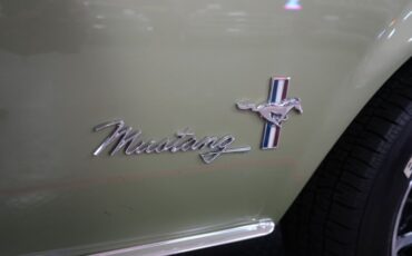Unknown-Mustang-1968-Blue-55