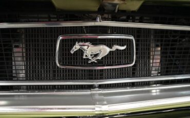 Unknown-Mustang-1968-Blue-56