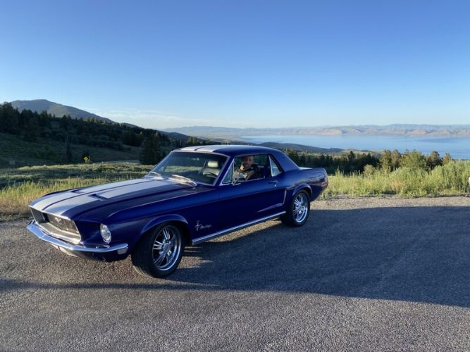 Unknown-Mustang-1968-Blue-Black