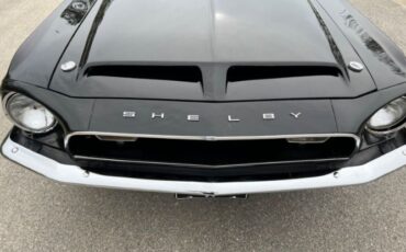 Unknown-Mustang-1968-Raven-BlackWhite-To-Black-1