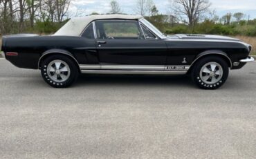 Unknown-Mustang-1968-Raven-BlackWhite-To-Black-11