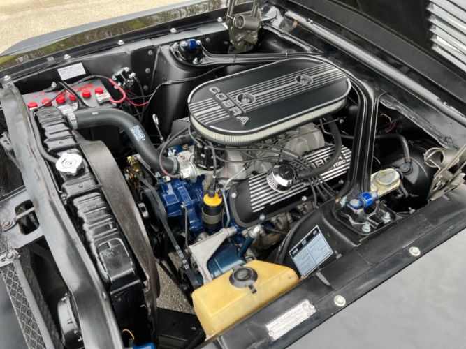 Unknown-Mustang-1968-Raven-BlackWhite-To-Black-12