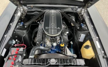 Unknown-Mustang-1968-Raven-BlackWhite-To-Black-13