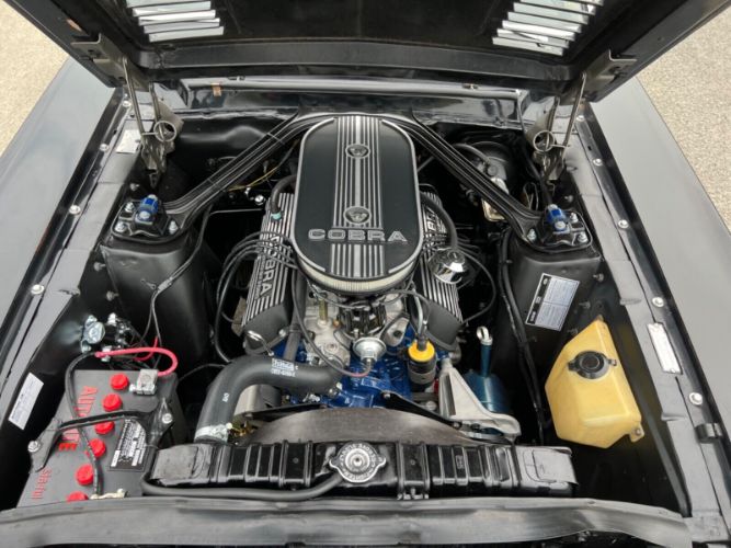 Unknown-Mustang-1968-Raven-BlackWhite-To-Black-13