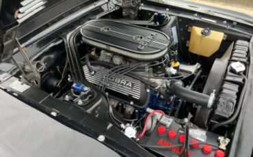 Unknown-Mustang-1968-Raven-BlackWhite-To-Black-2