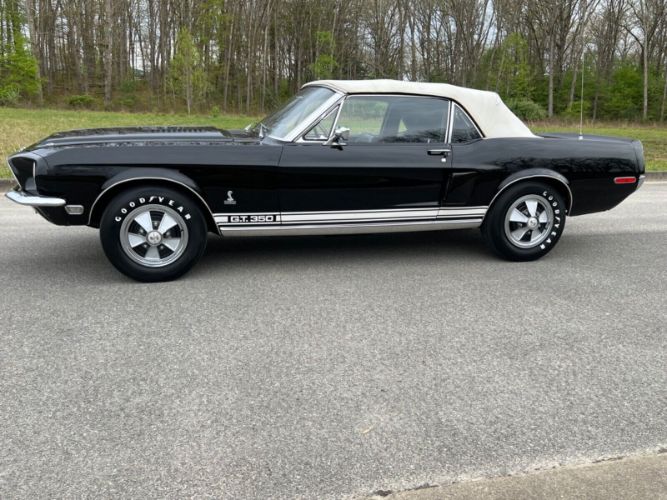 Unknown-Mustang-1968-Raven-BlackWhite-To-Black-4
