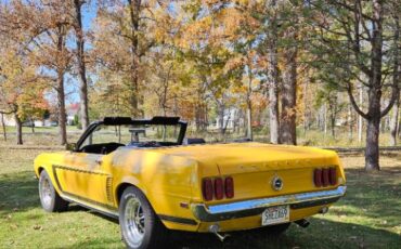 Unknown-Mustang-1969-1