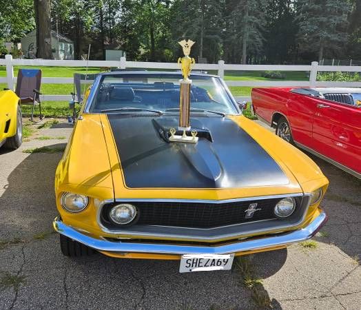Unknown-Mustang-1969