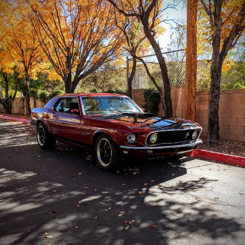 Unknown-Mustang-1969-Red-17