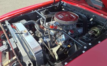Unknown-Mustang-1969-Red-Black-5
