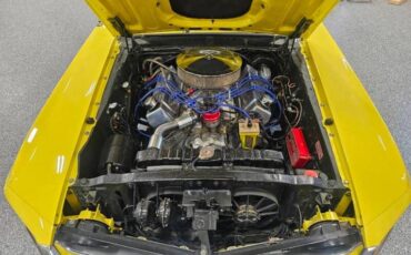 Unknown-Mustang-1969-yellow-black-16