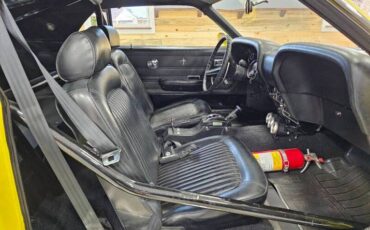 Unknown-Mustang-1969-yellow-black-30