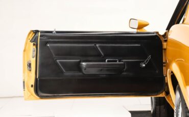 Unknown-Mustang-1970-Butterscotch-Metalli-Black-9