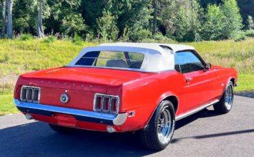 Unknown-Mustang-1970-Calypso-CoralWhite-White-Knit-Vinyl-Del-21