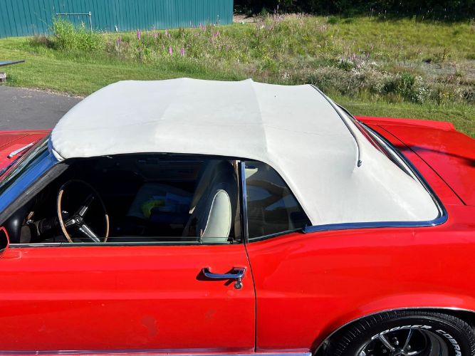 Unknown-Mustang-1970-Calypso-CoralWhite-White-Knit-Vinyl-Del-24