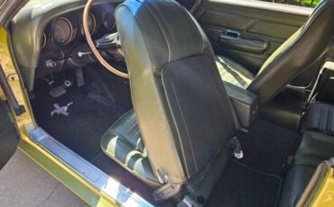 Unknown-Mustang-1970-Green-Green-10