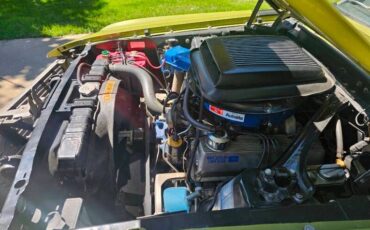 Unknown-Mustang-1970-Green-Green-13
