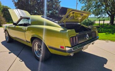 Unknown-Mustang-1970-Green-Green-25