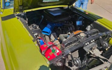 Unknown-Mustang-1970-Green-Green-27