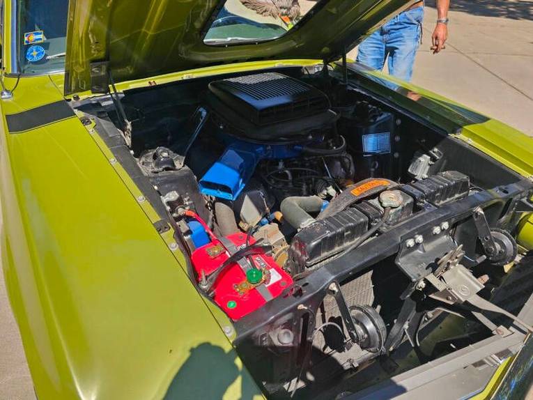 Unknown-Mustang-1970-Green-Green-27
