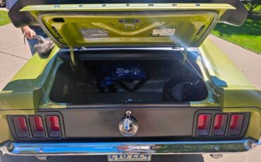 Unknown-Mustang-1970-Green-Green-30