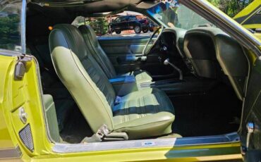 Unknown-Mustang-1970-Green-Green-32