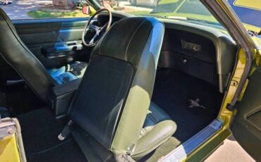 Unknown-Mustang-1970-Green-Green-5
