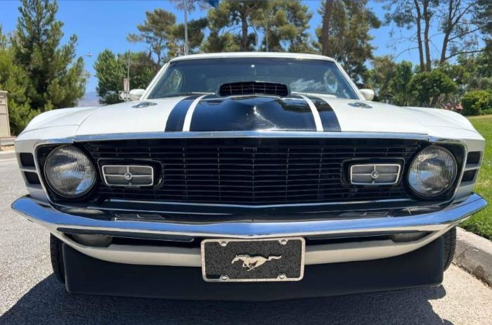 Unknown-Mustang-1970-White-17
