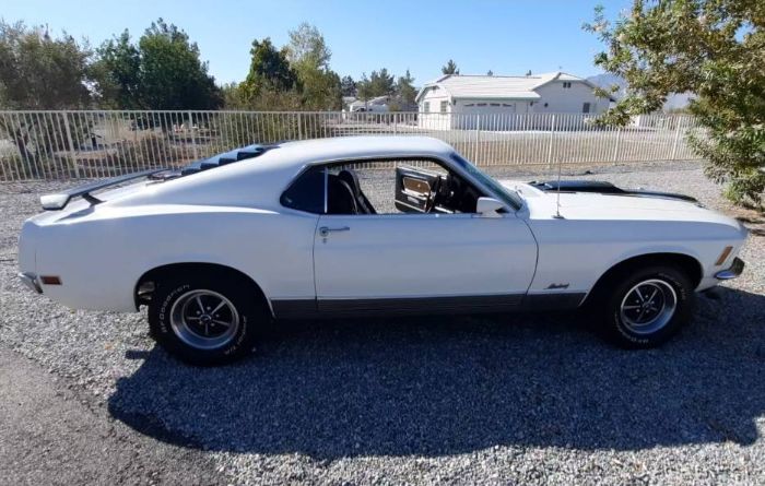Unknown-Mustang-1970-White-3