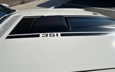 Unknown-Mustang-1970-White-Black-24