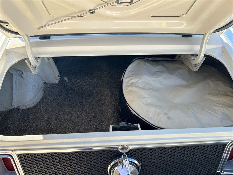 Unknown-Mustang-1970-White-Black-29
