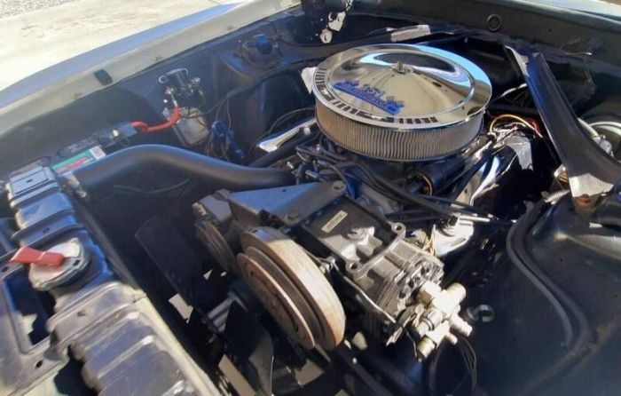 Unknown-Mustang-1970-WhiteBlack-19