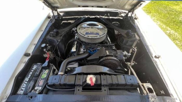 Unknown-Mustang-1970-WhiteBlack-21