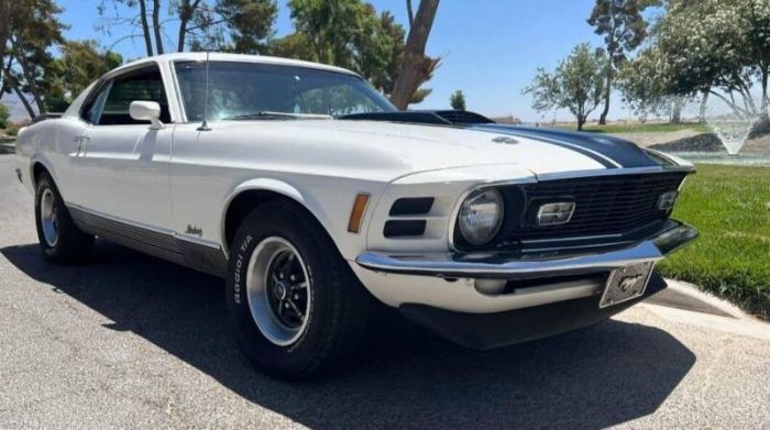 Unknown-Mustang-1970-WhiteBlack