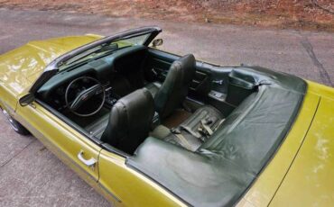 Unknown-Mustang-1970-green-green-1