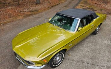 Unknown-Mustang-1970-green-green-10