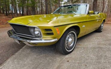 Unknown-Mustang-1970-green-green-11